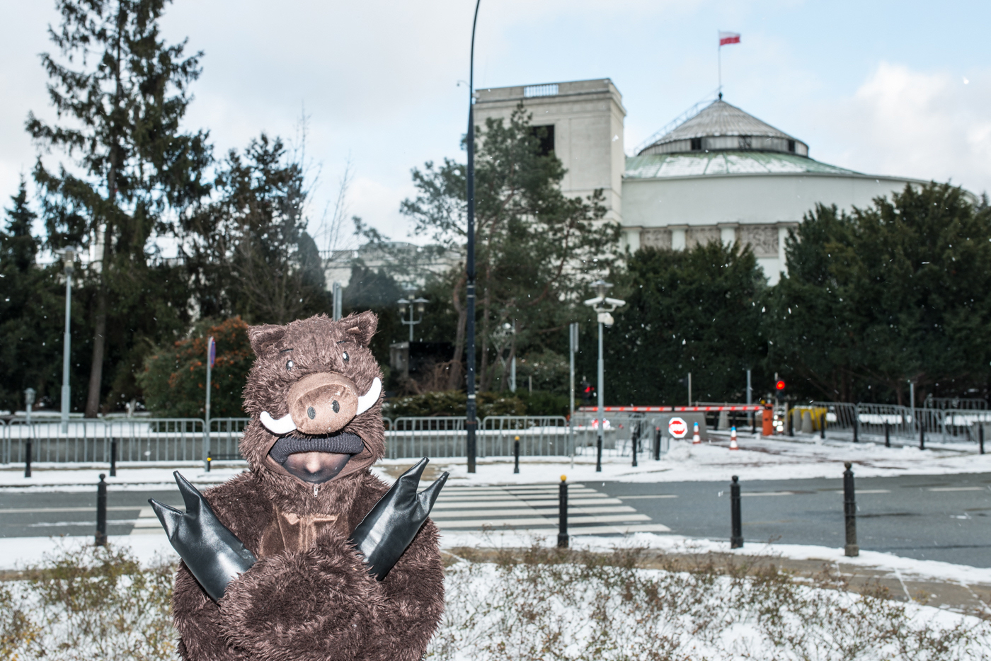 Osoba w kostiumie dzika stojąca na tle budynku Sejmu.