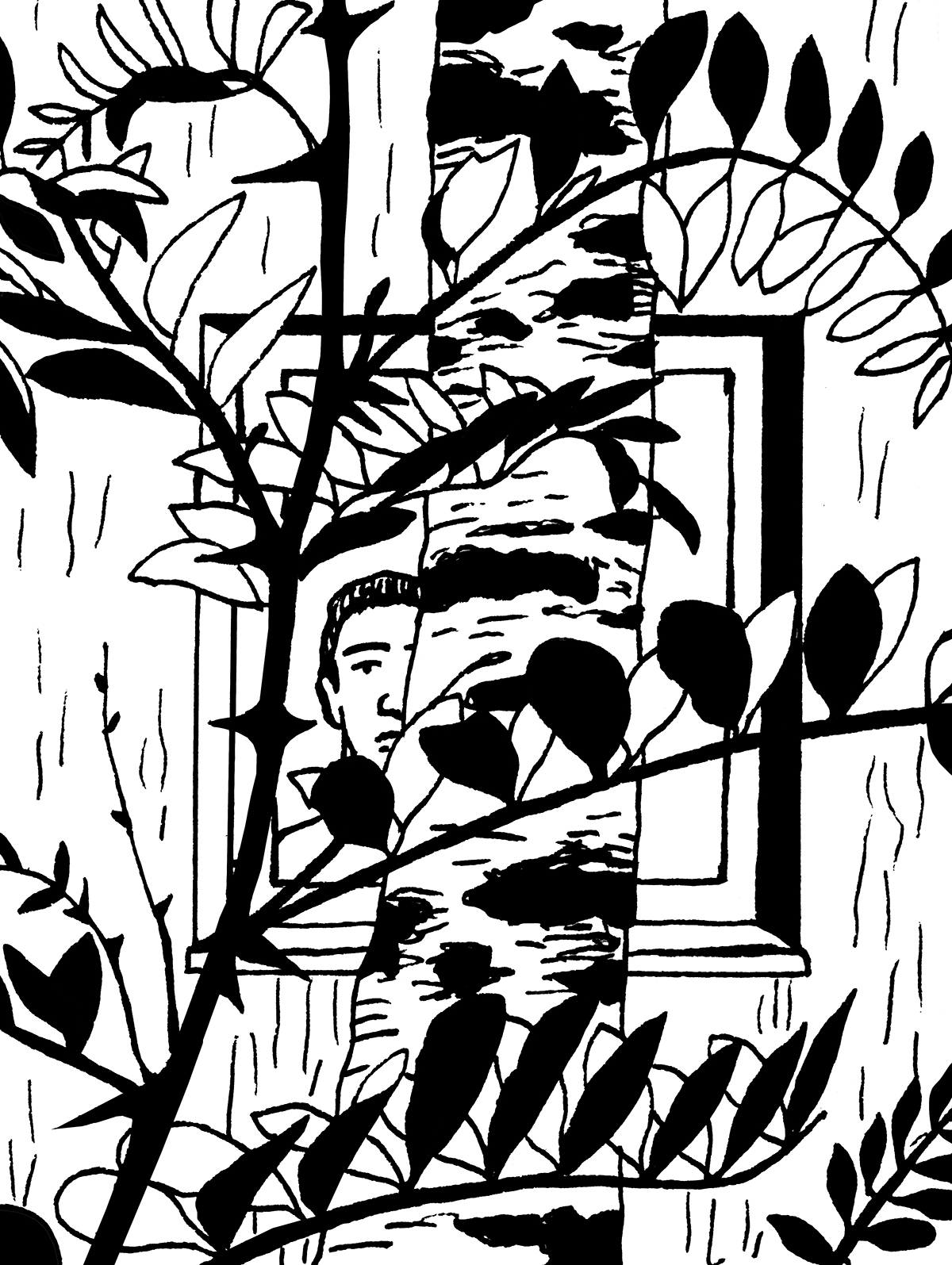 Na pierwszym planie liście młodej robinii akacjowej. Za nimi, zza grubego pnia brzozy, widać pół twarzy wyglądającego przez okno mężczyzny