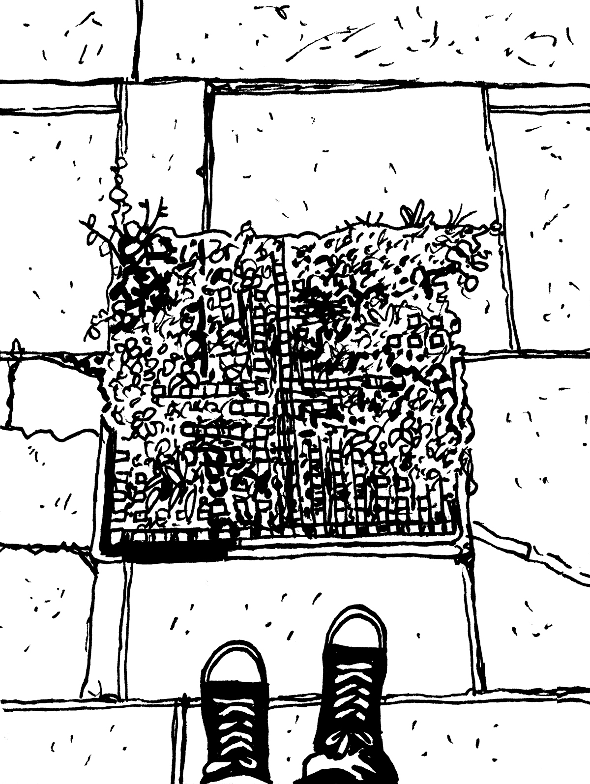 Widok z góry na zarośniętą chwastami kratkę znajdującą się pomiędzy płytami chodnikowymi. Pod kratą widoczne sznurowane buty osoby oglądającej chwasty.