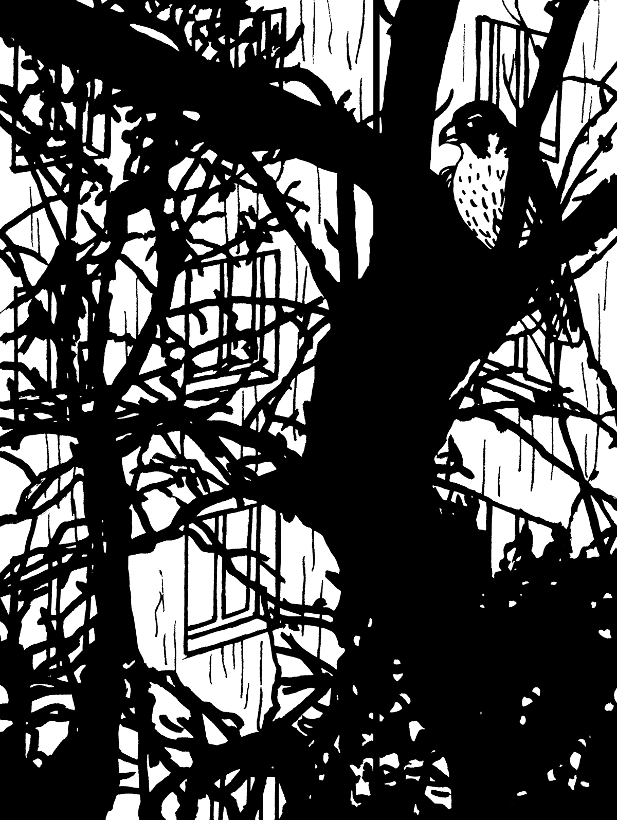 Ptak z zakrzywionym dziobem i jasnym upierzeniem brzucha siedzi między konarami drzewa o grubym, ciemnym i zakrzywionym pniu. W tle gęsta sieć gałęzi i prześwitująca ściana bloku mieszkalnego.