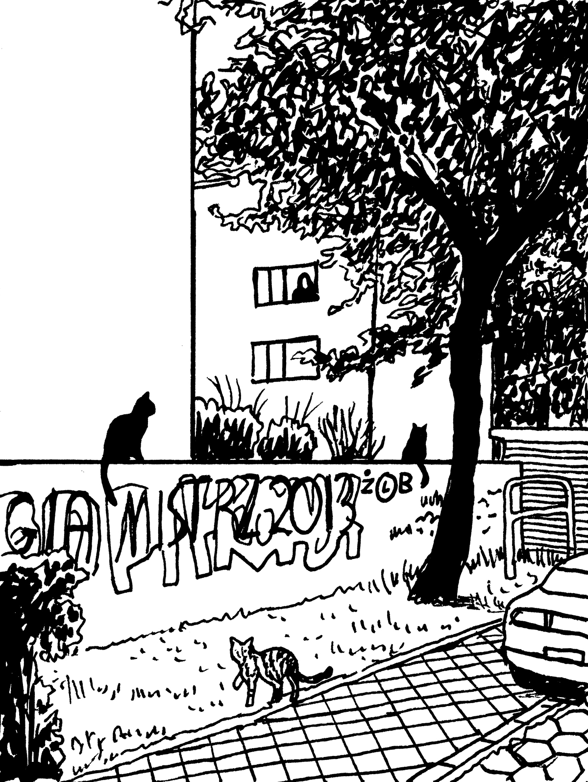 Prążkowany kot spaceruje po chodniku w stronę otagowanego sprejem murku, na którym siedzą dwa czarne koty. W tle, w oknie budynku, widoczna jest obserwująca scenkę postać.