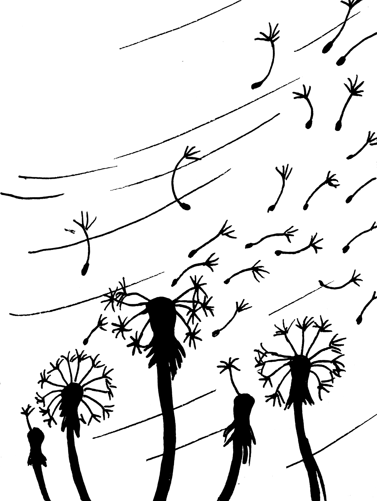 Widoczne na pierwszym planie cztery dmuchawce wypuszczają zarodniki, które unoszą się na wietrze.