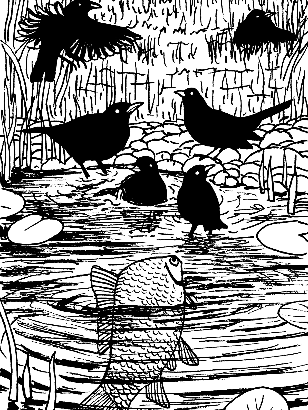 Grupa ciemnych ptaków kąpie się w wodzie. Przygląda im się wychylona z wody ryba. W wodzie pływają lilie wodne.