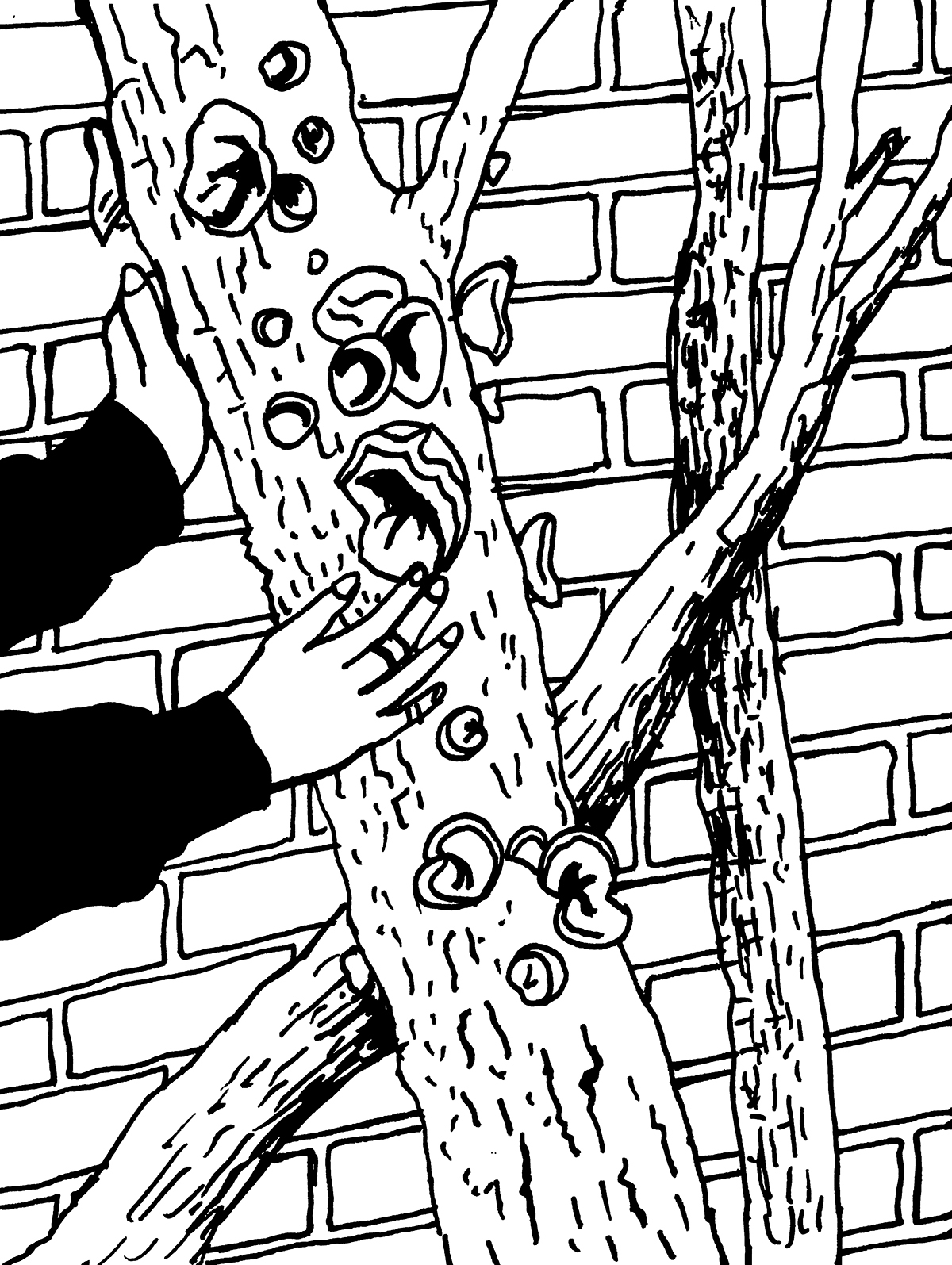 Ludzkie ręce dotykają dnia drzewa, na którym rosną grzyby – uszaki. W tle ceglana ściana budynku.